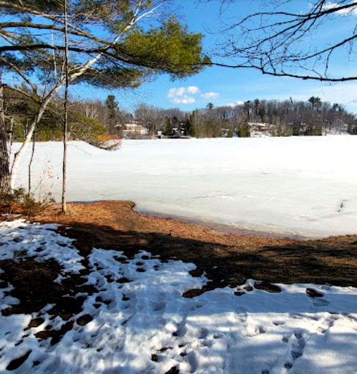Twin Lakes Park (Gilbert Lodge) - Web Listing